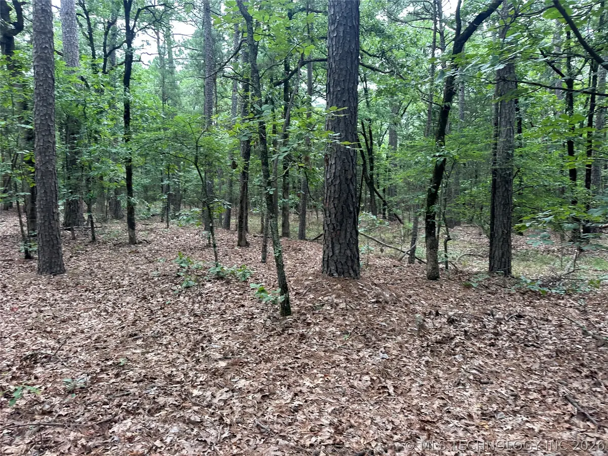 001 Johns Valley Road, Moyers, OK 74557 - #1