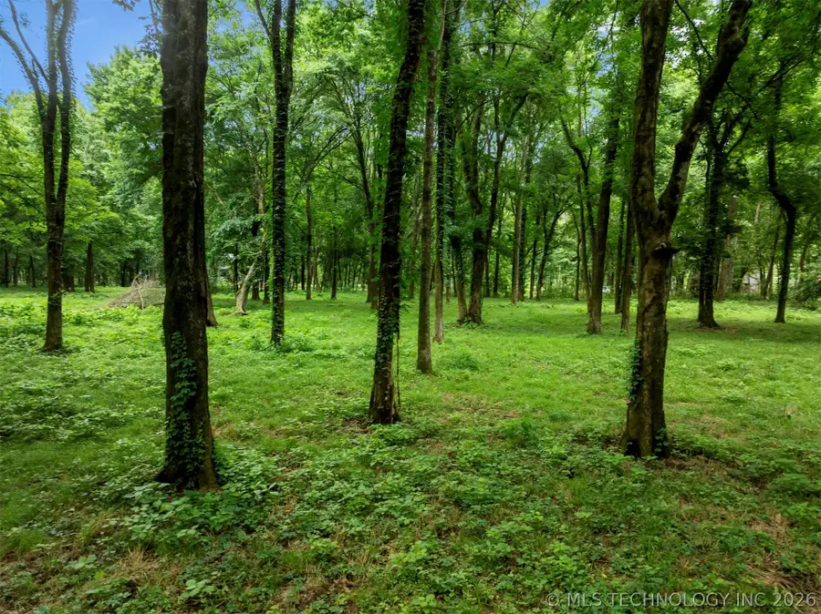56 River Landing Trail, Eagletown, OK 74734 - #3