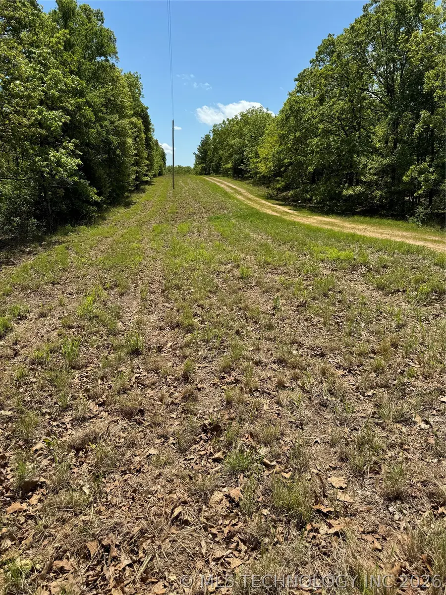 6 S 4532 Road, Vian, OK 74962 - #3