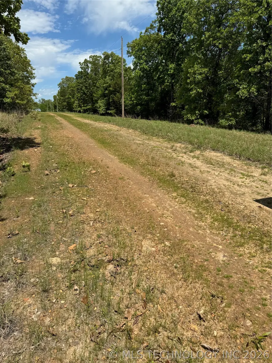 9 S 4532 Road, Vian, OK 74962 - #2