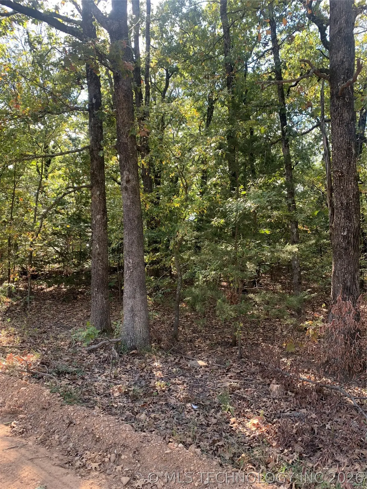 S 4530 Road, Vian, OK 74962 - #1