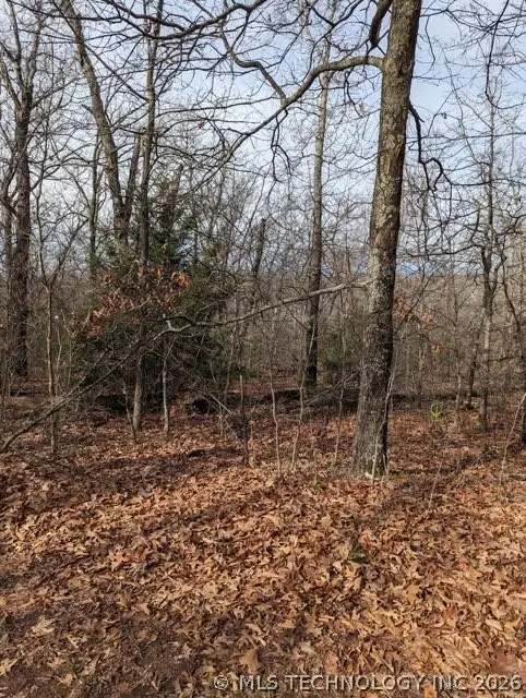 4550 Road, Vian, OK 74962 - #2