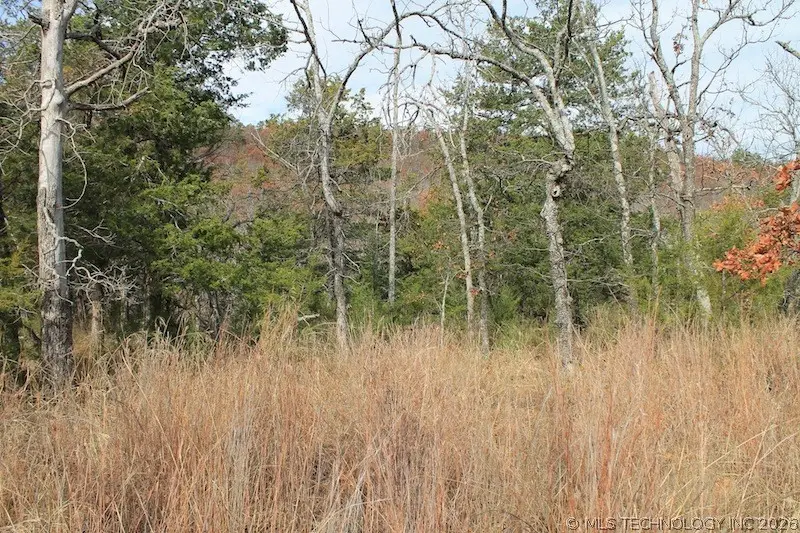 Indian Ridge, Pittsburg, OK 74560 - #3