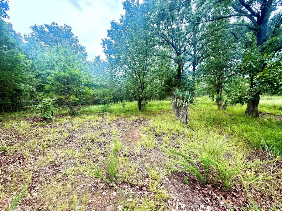12287 W 809 Road, Tahlequah, OK 74464 - #3