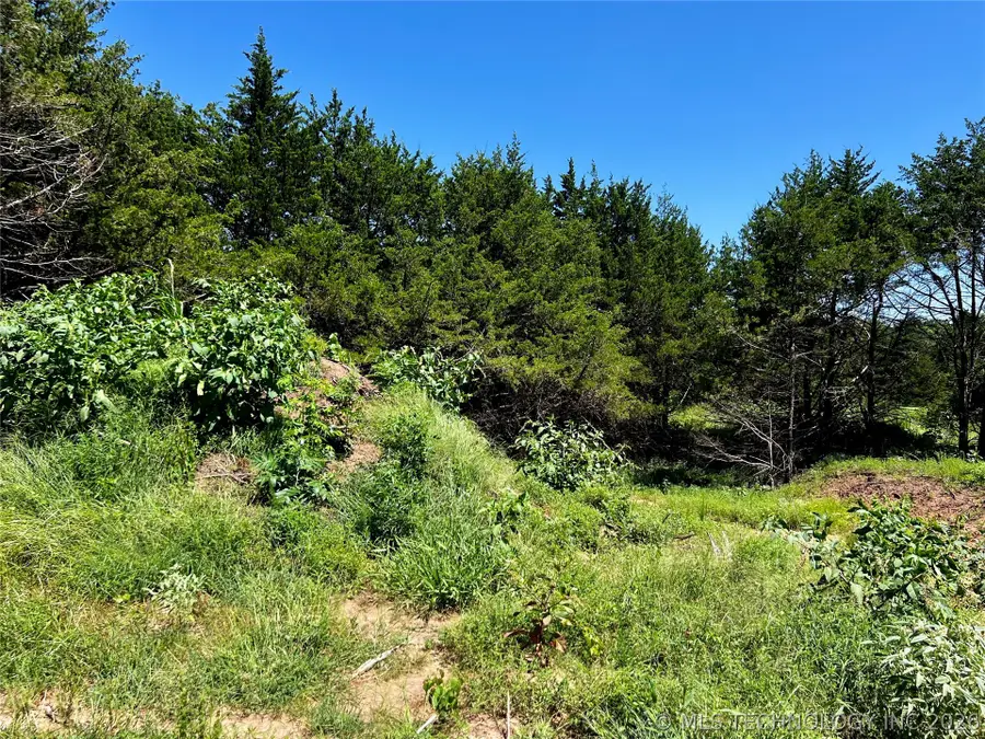 8 Dynamite Road, Agra, OK 74824 - #3