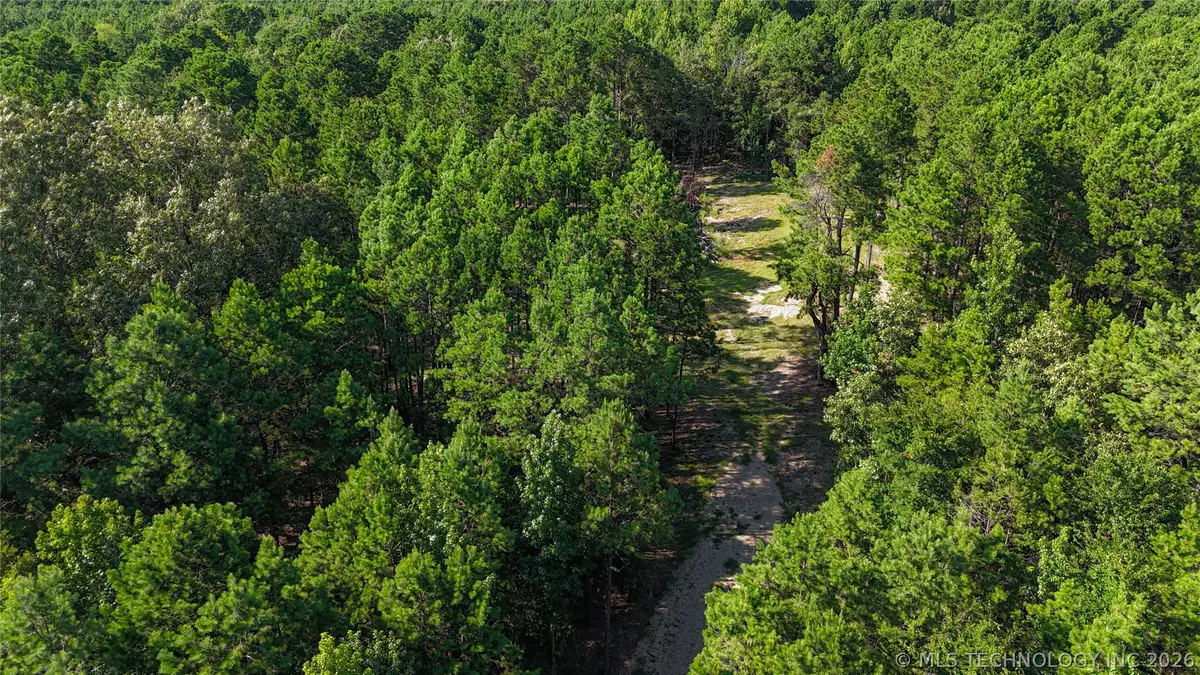 2 E 2030 Road, Fort Towson, OK 74735 - #1