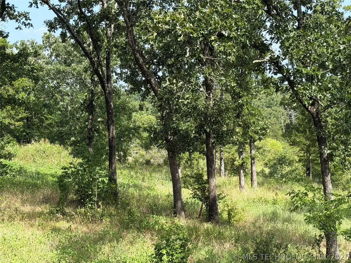 Double Springs Road, McAlester, OK 74501 - #1