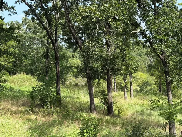 Double Springs Road, McAlester, OK 74501