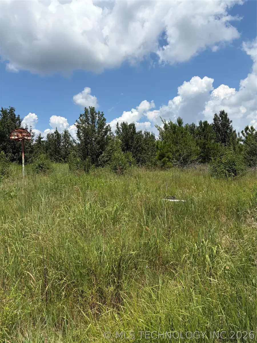 703 E Harrison Street, Bristow, OK 74010 - #3