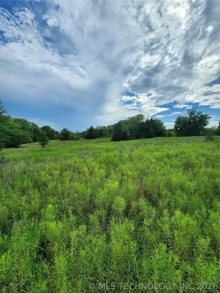 Knobb Road, Kingston, OK 73439 - #2