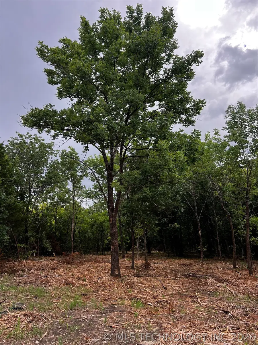 S 51st Street, Sand Springs, OK 74063 - #3