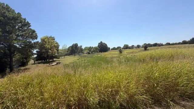 Cypress Avenue, Burneyville, OK 73430 - #1