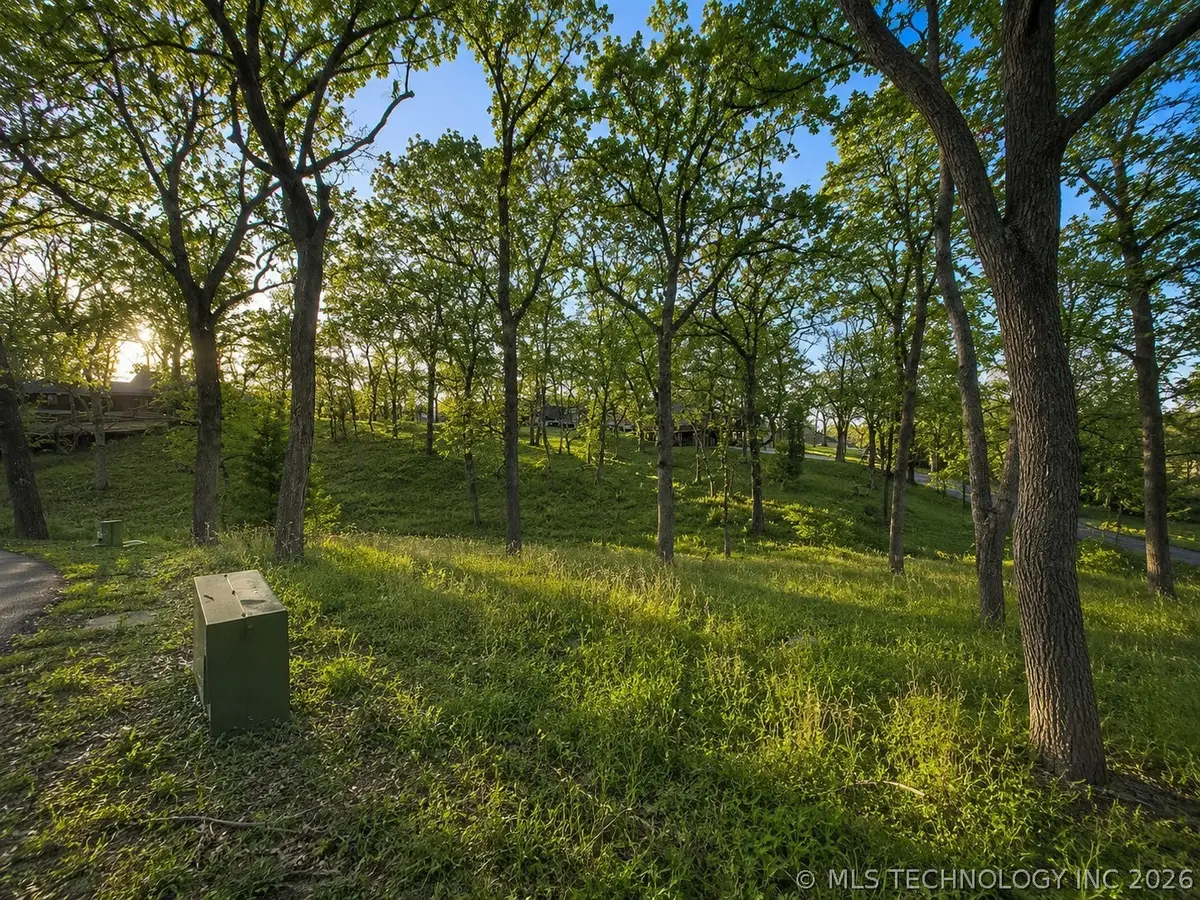 Ridge Road, Afton, OK 74331 - #1