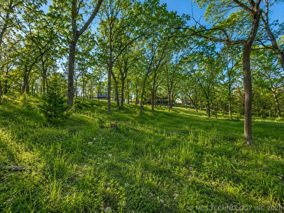 S Coves Drive, Afton, OK 74331 - #1
