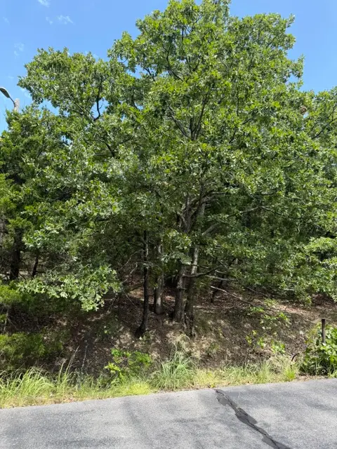 2291 W Crosswinds Circle, Cleveland, OK 74020 - #3