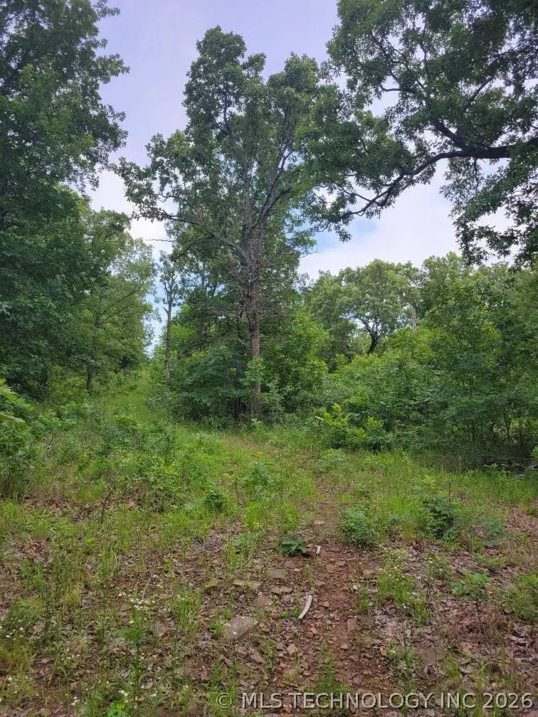 140 Gaines Creek, Canadian, OK 74425 - #2