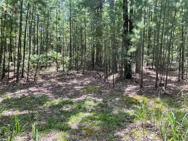 181201 Flat Top Road, Moyers, OK 74557