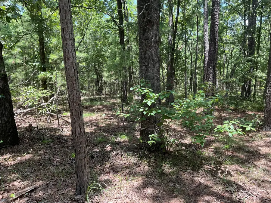 181201 Flat Top Road, Moyers, OK 74557 - #2