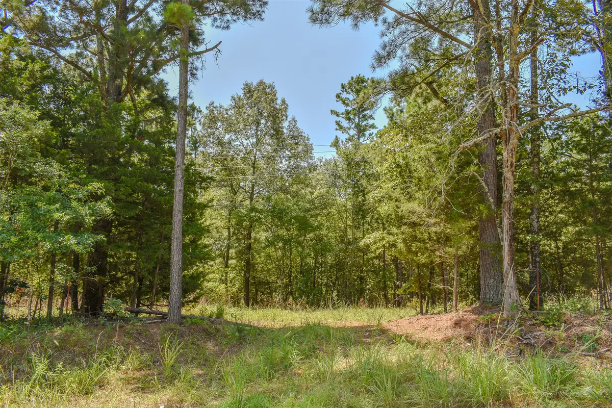 3 N Hall Road, Antlers, OK 74523 - #1