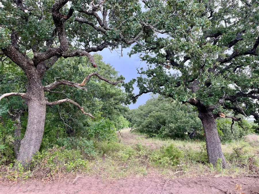 Maverick Road, Wilson, OK 73463 - #2