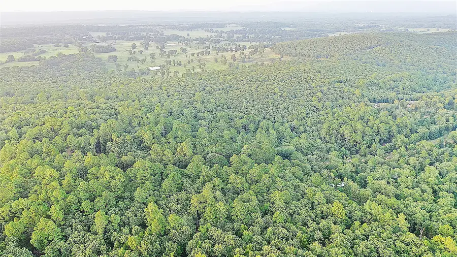 21800 Bobcat Lane, Hodgen, OK 74939 - #3