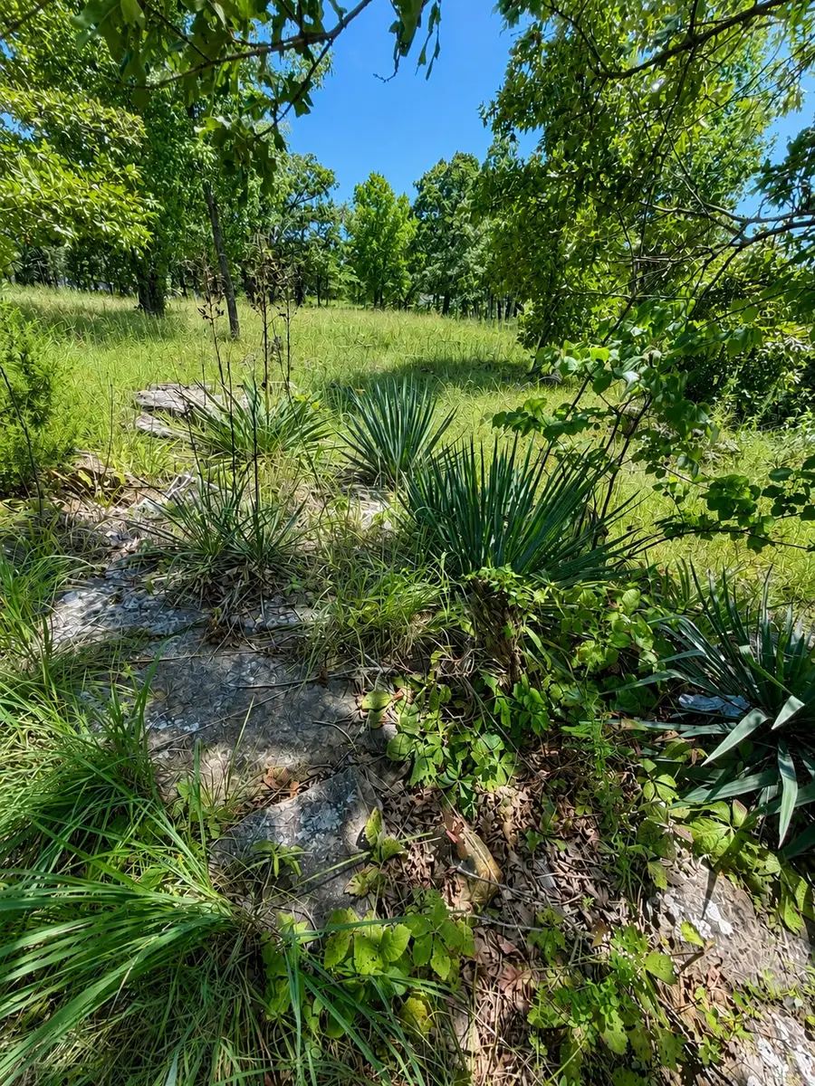 6408 Merrimack Drive, Sand Springs, OK 74063 - #3