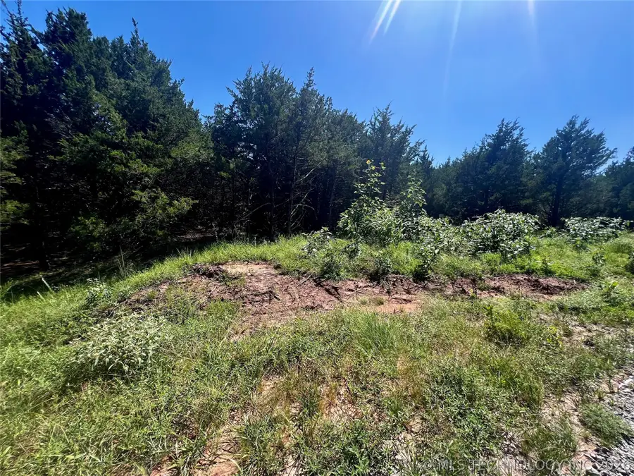11 Anvil Way, Agra, OK 74824 - #2