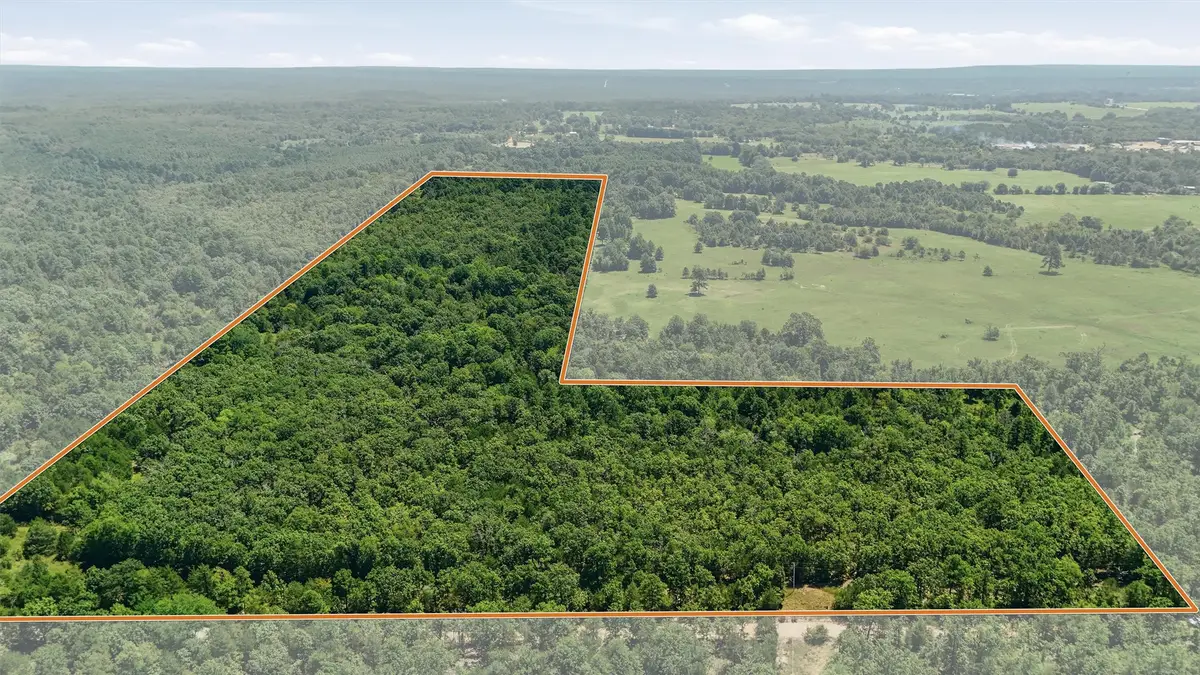 0001 Rattan Trail, Antlers, OK 74523 - #1