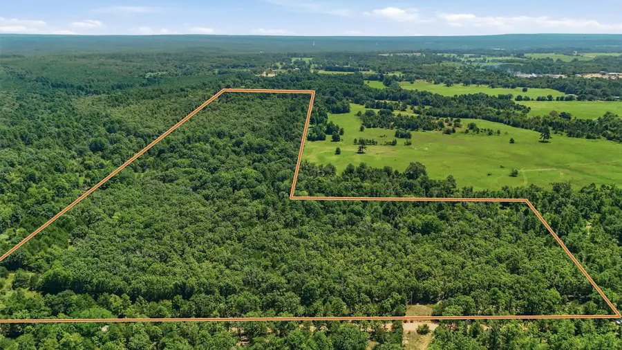0001 Rattan Trail, Antlers, OK 74523 - #2