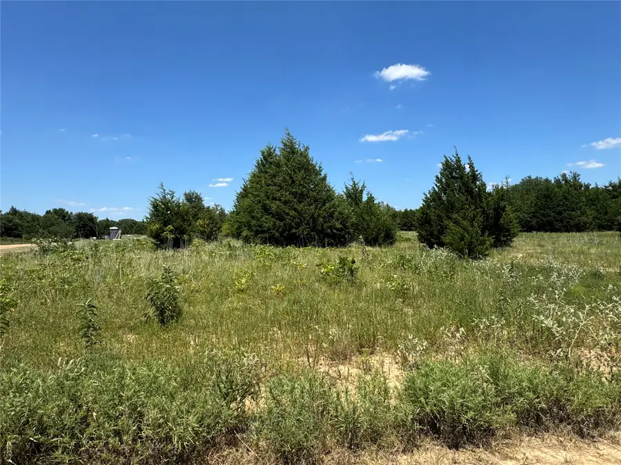 39 Sugar Cone Road, Colbert, OK 74733 - #3
