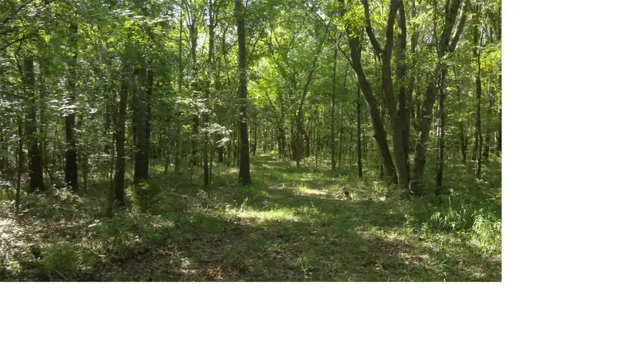 0007 E Hwy 75 Highway, Atoka, OK 74525 - #2