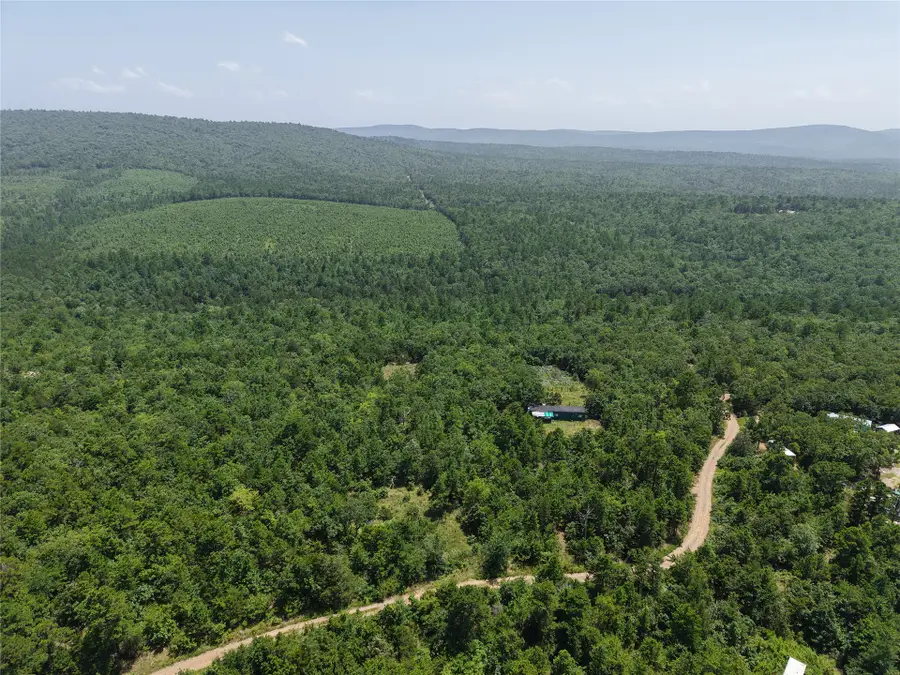 39981 Lloyd Lane, Wister, OK 74966 - #3
