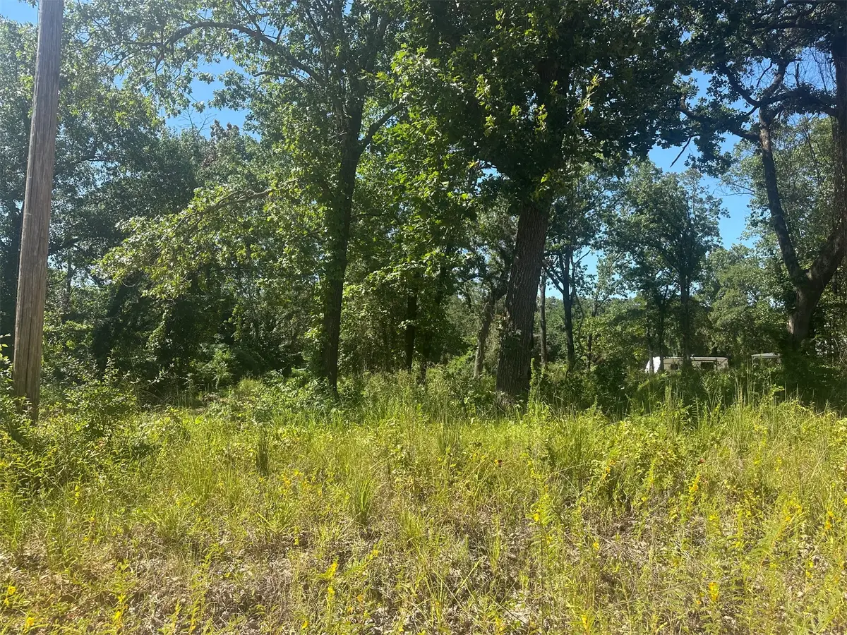 0 Driftwood Road, Kingston, OK 73439 - #1