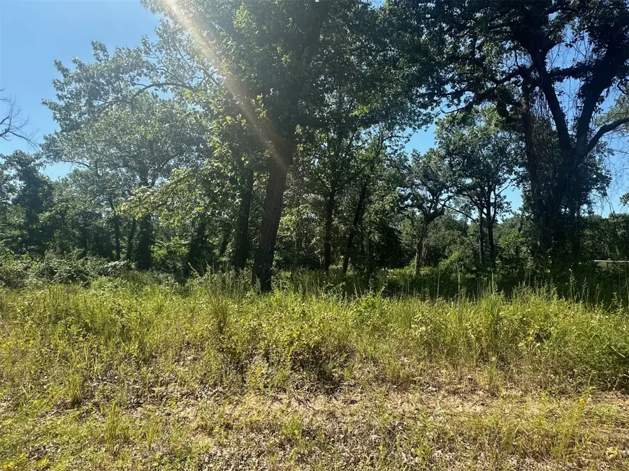 0 Driftwood Road, Kingston, OK 73439 - #2