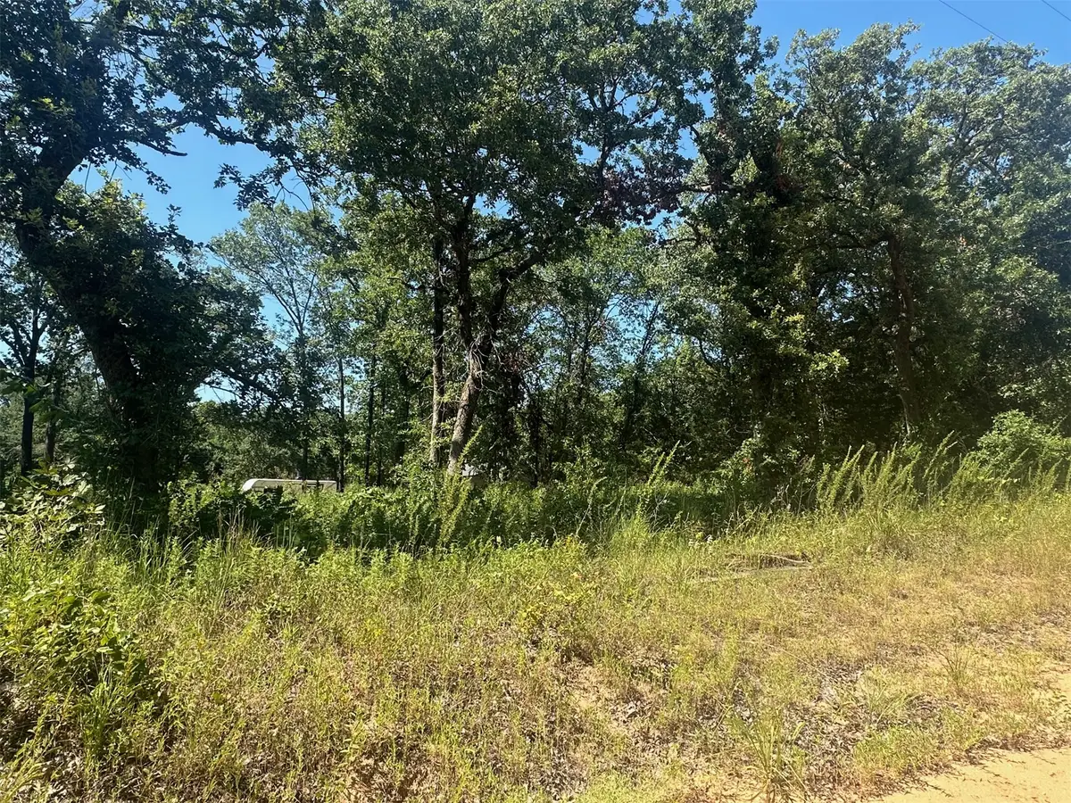 1 Driftwood Road, Kingston, OK 73439 - #1