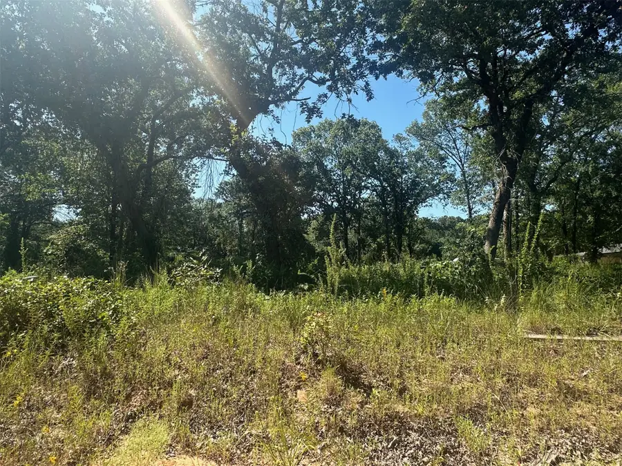 1 Driftwood Road, Kingston, OK 73439 - #2