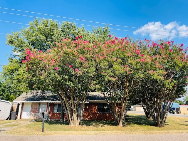 102 N Collins Street, Colbert, OK 74733 - #3
