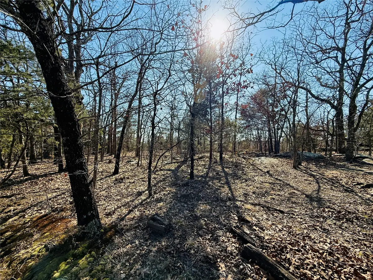 Mountain View Road, Eufaula, OK 74432 - #1