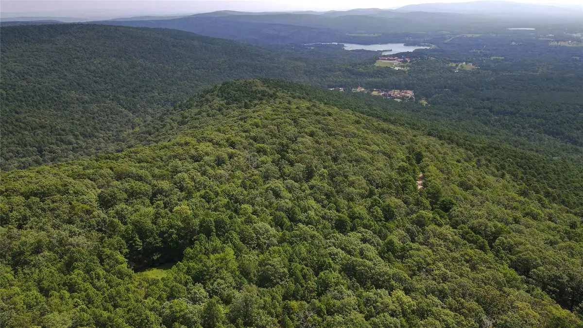 Buffalo Mountain Rd., Talihina, OK 74571 - #1