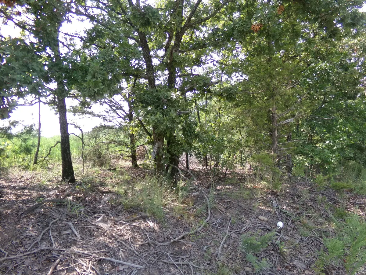 N 4230 Road, Eufaula, OK 74432 - #1