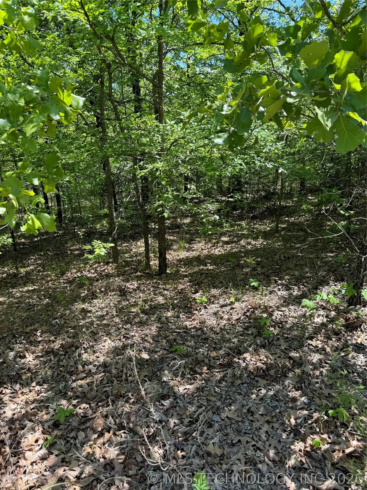 161718 S 4531 Road, Vian, OK 74962 - #1