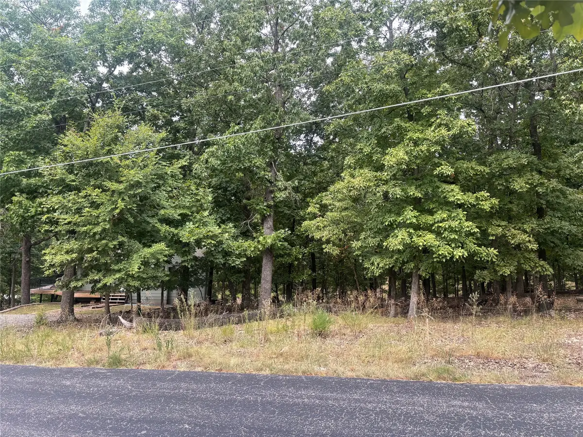 Blackwood Drive, Afton, OK 74331 - #1