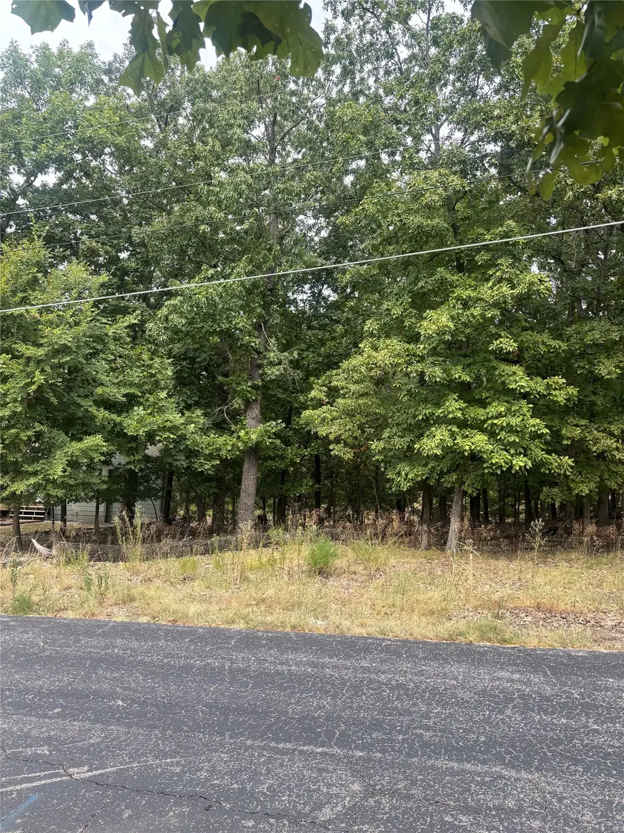 Blackwood Drive, Afton, OK 74331 - #2