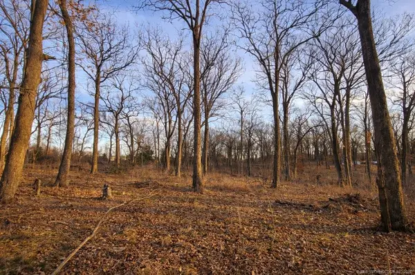 0 Cobb Road, Kingston, OK 73439
