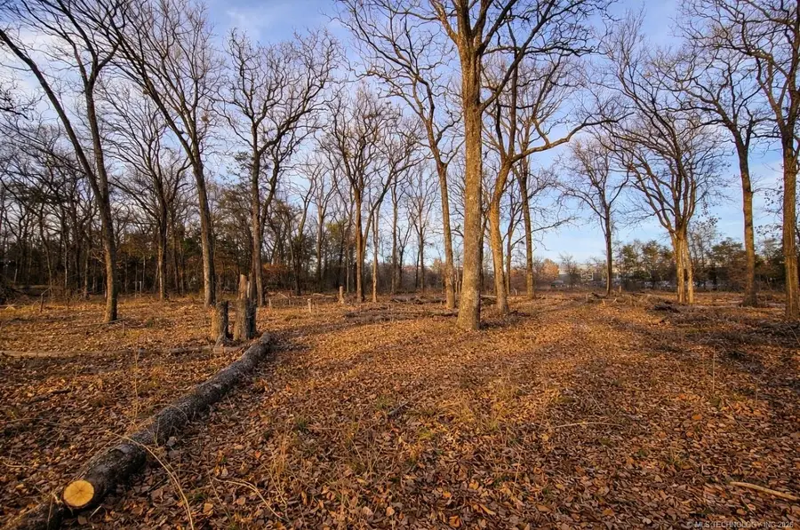 0 Cobb Road, Kingston, OK 73439 - #2
