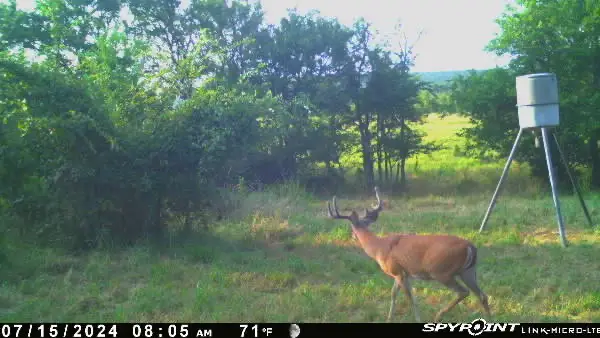 Ti Valley Pass, Blanco, OK 74528 - #2