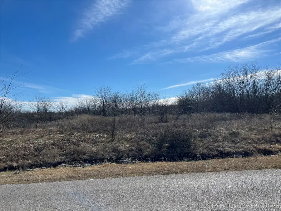 Smiley Road, Madill, OK 73446 - #2