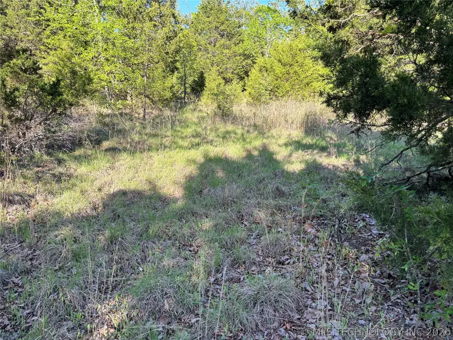 100752 4497 Road, Vian, OK 74962 - #3