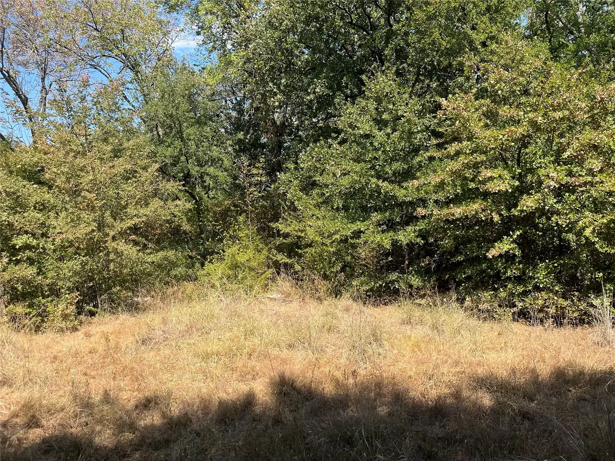 Kickapoo Avenue, Kingston, OK 73439 - #1