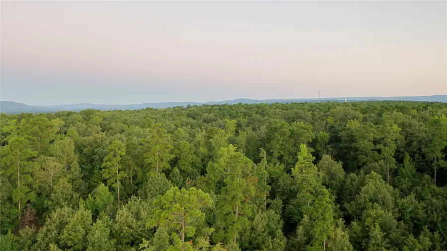 259 Highway, Smithville, OK 74957 - #3